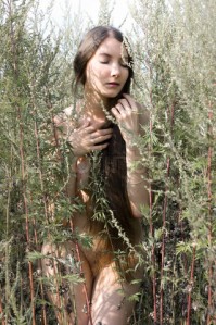 beautiful naked woman among the grass